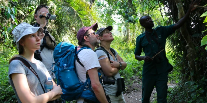 Birdwatching in Kibale National Park