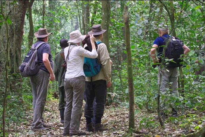 Tourists on a bird watching adventure in Kibale