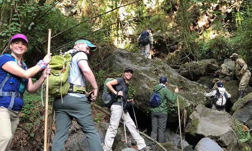 A group of tourists on hike on Mt. Rwenzori in Uganda